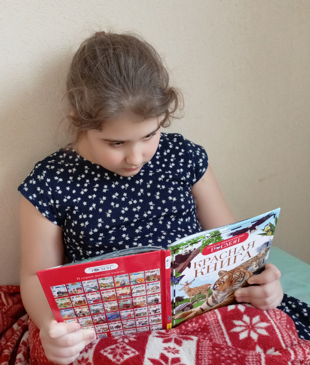 Фото сделано автором канала