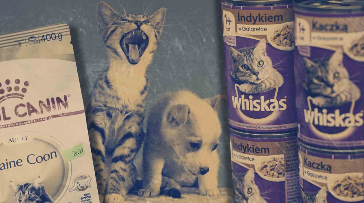    Коллаж: Daily Storm