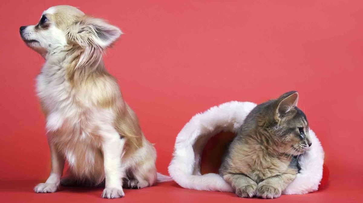    Фото: Global Look Press / Sabine Gruhn