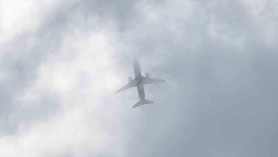    Автор фото: Тихонов Михаил