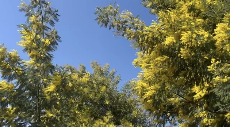    Фото: пресс-служба Сочинского географического общества