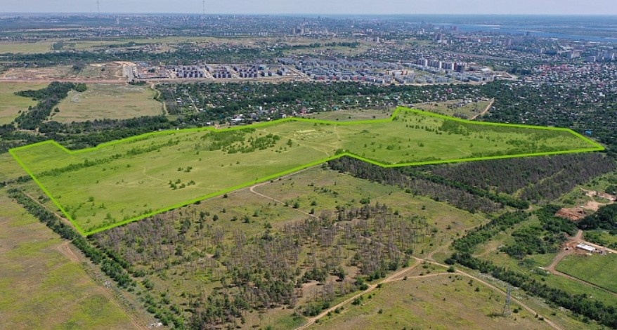    Скриншот 10-02-2025 151359