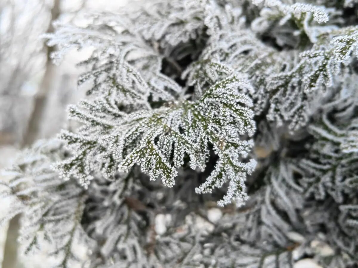     © "Интерфакс". Марина Леонова