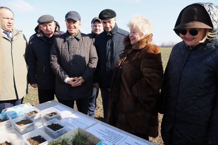    Губернатор Краснодарского края дал оценку озимой пшенице в Ленинградском муниципальном округе