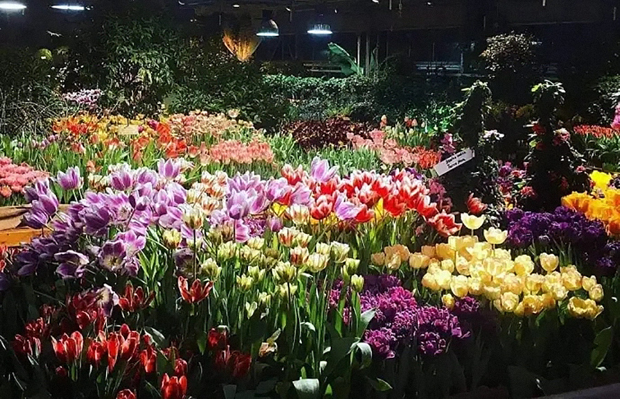    Фото: архив пресс-службы