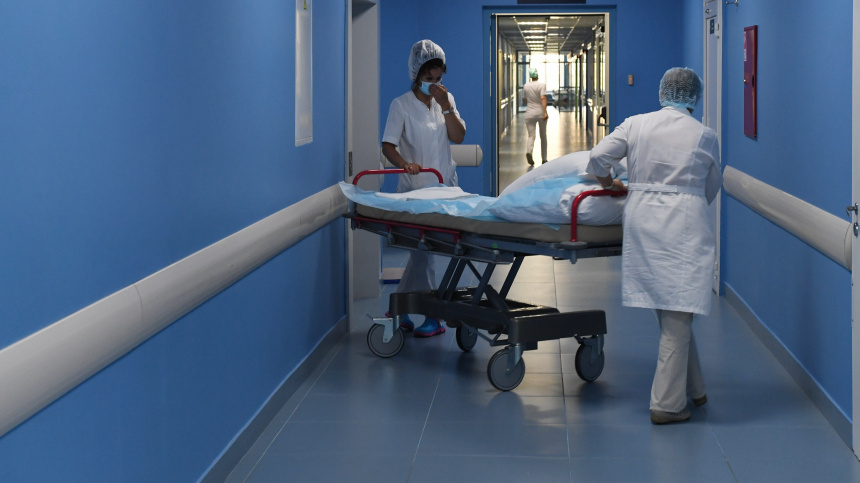    Фото: © РИА Новости/Сергей Пятаков; 5-tv.ru