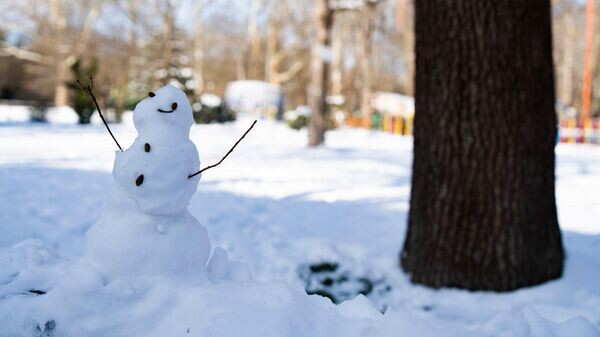    © РИА Новости Крым