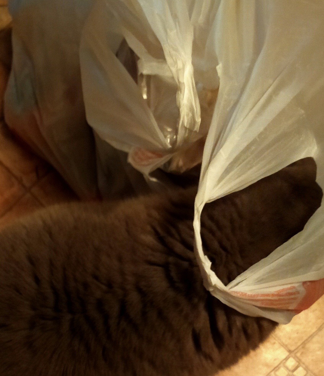 Дай проверю,ты всё купила?))