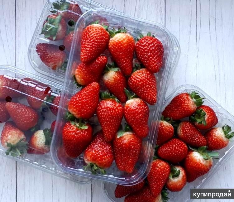 Яндекс картинки