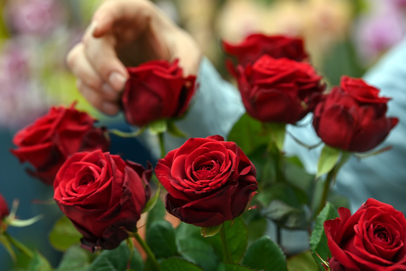 Фото: Hendrik Schmidt / TASS