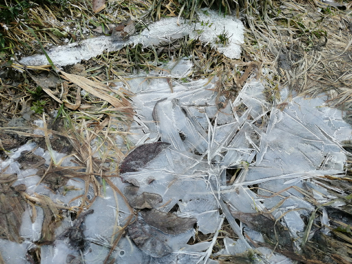 Обожаю хруст такого тонкого льда под ногами. 