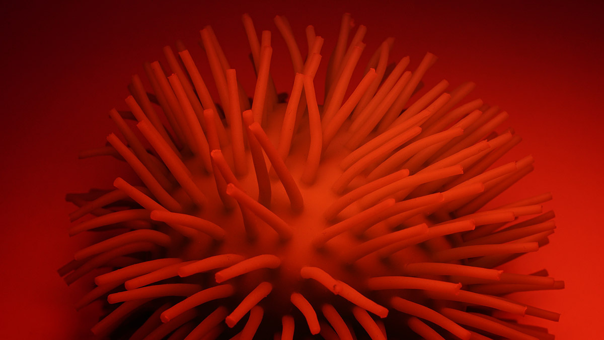    Фото: vm.ru Георгий