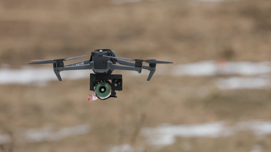    фото: Belkin Alexey/news.ru/Globallookpress