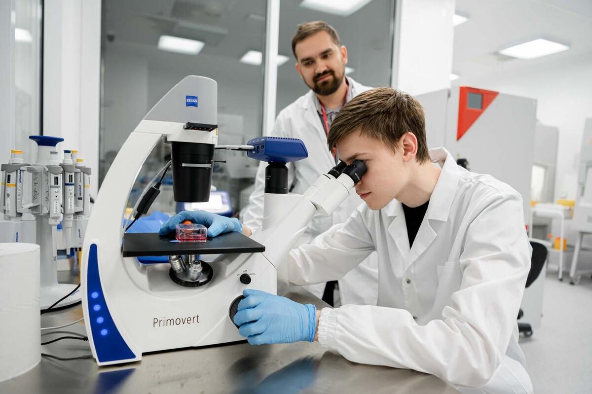    Фото: пресс-служба администрации Сириуса