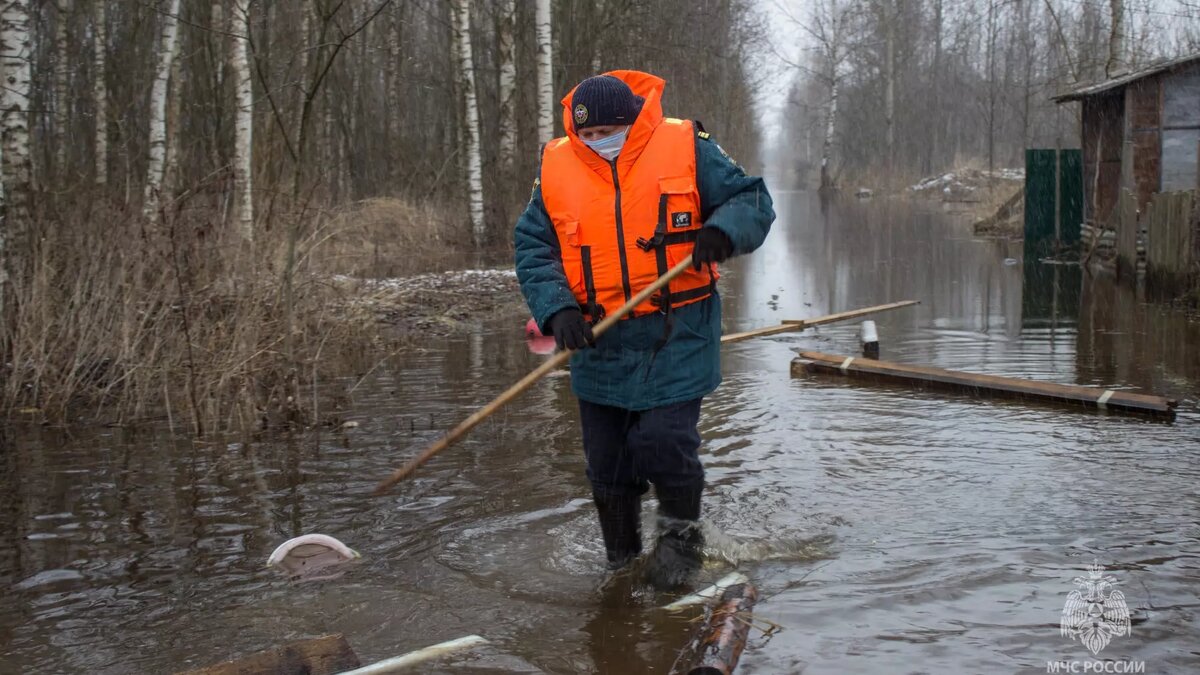     Автор: 69.mchs.gov.ru