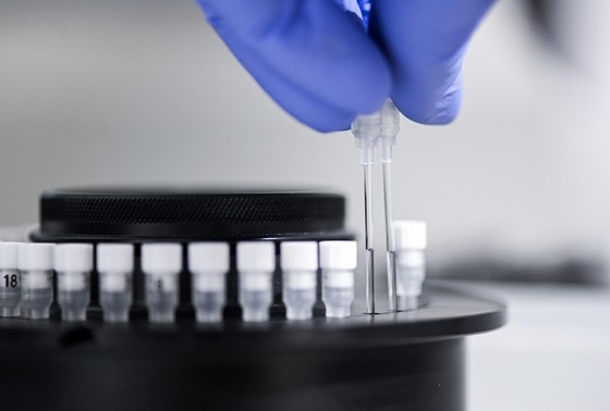    Felix Kästle/dpa/Global Look Press