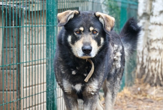    Сергей Петров/NEWS.ru