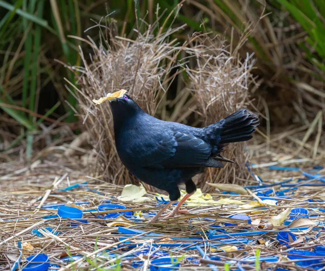 © Кит Хортон