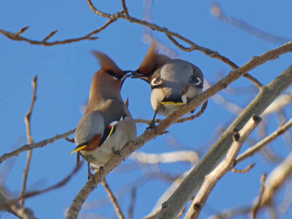 Фото Игоря Фадеева