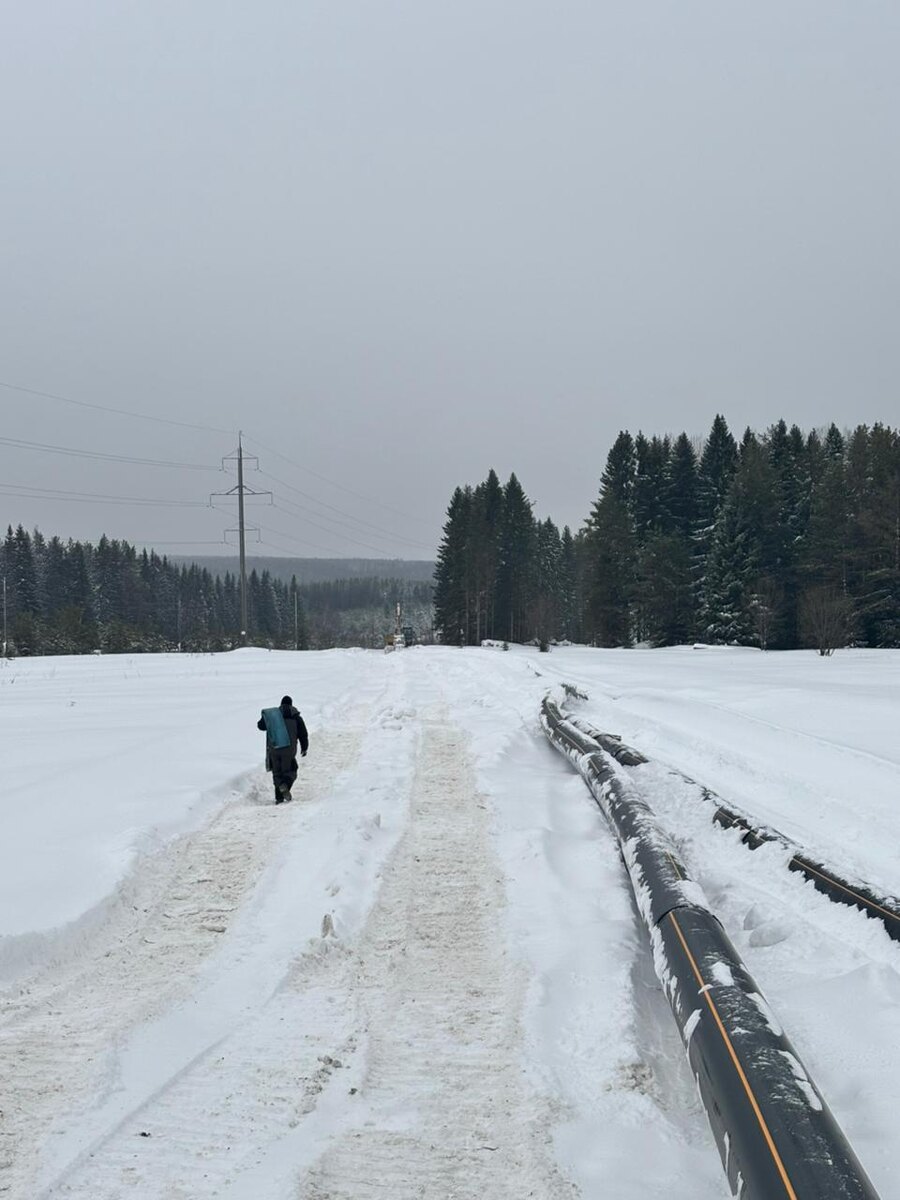 ТИХИЕ  ЗИМНИЕ ШОРОХИ, из личных фото автора Лидии Шатиловой