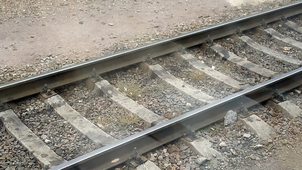    Фото: Сергей Егоров