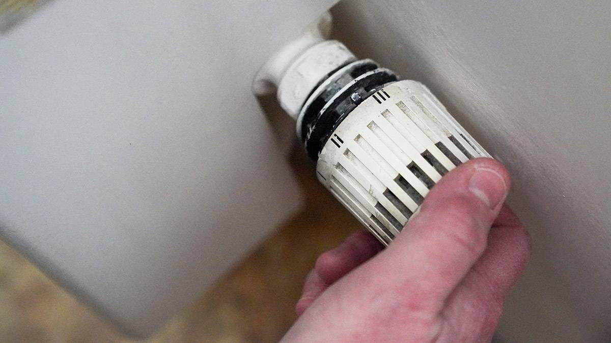    Фото: Пелагия Тихонова / АГН Москва