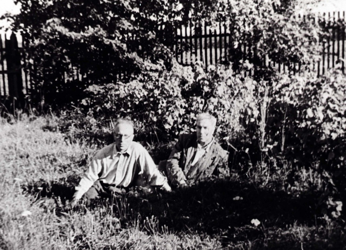    В 1912 году Пастернак изучал философию и ходил на летние курсы неокантианской школы профессора Германа Когена в Германии. Впрочем, вскоре после курсов продолжать заниматься философией писатель не захотел. В эти годы в печать вышли его первые книги / globallookpress.com / Pasternak Vadim Nekrasov/Russian Look