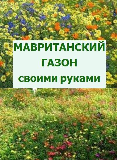 мавританский газон