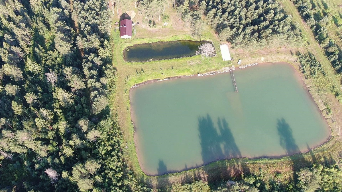 Большой и малый пруды