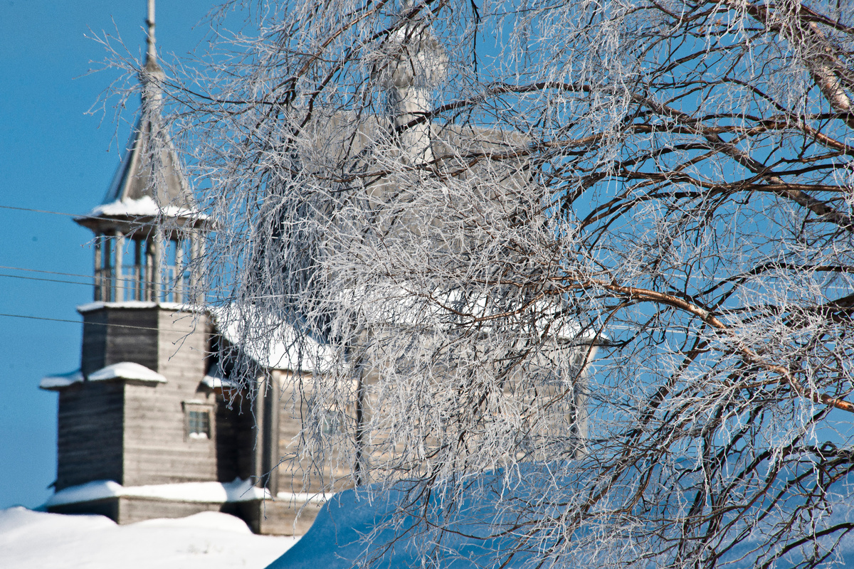 фото: Konstantin Kokoshkin/Russian Look/Global Look Press