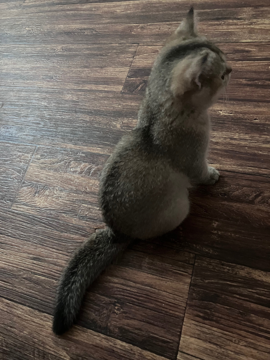 Фото автора. Обиделся, кажется…