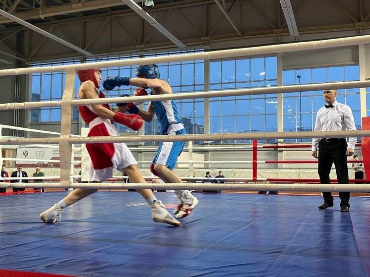     Боксеры с лучшими результатами смогут представить Заполярье на соревнованиях Северо-Западного федерального округа. ФОТО: официальный сайт правительства Мурманской области