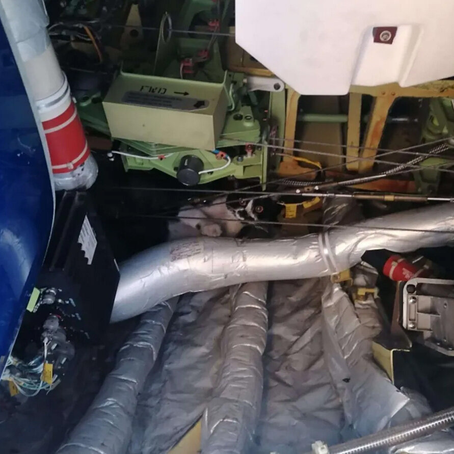 Источник: thesun.co.uk