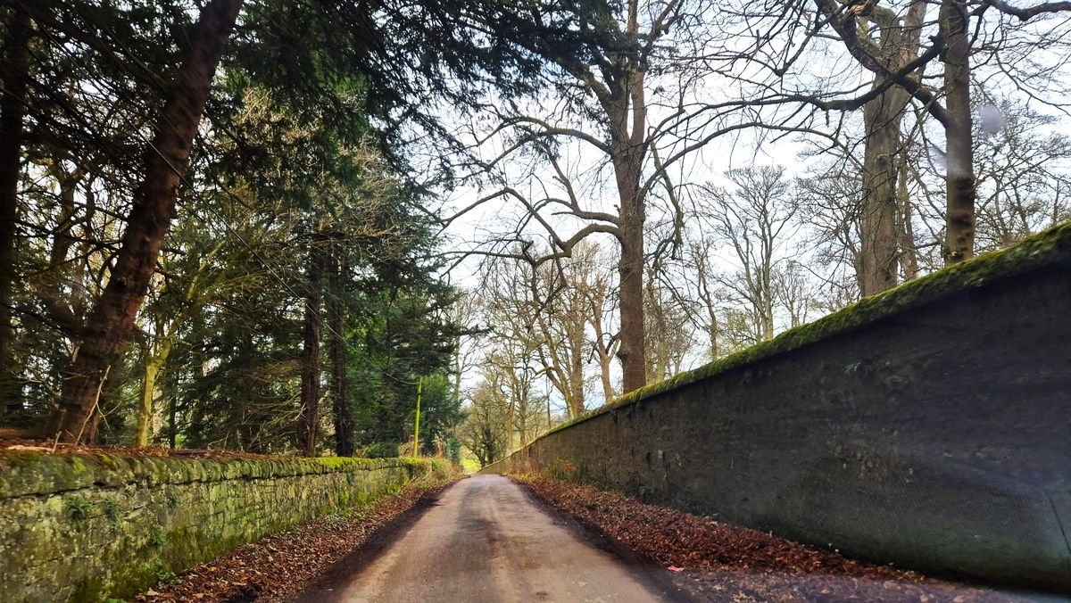 Дорога к замкуМидхоуп. Фото из личного архива.