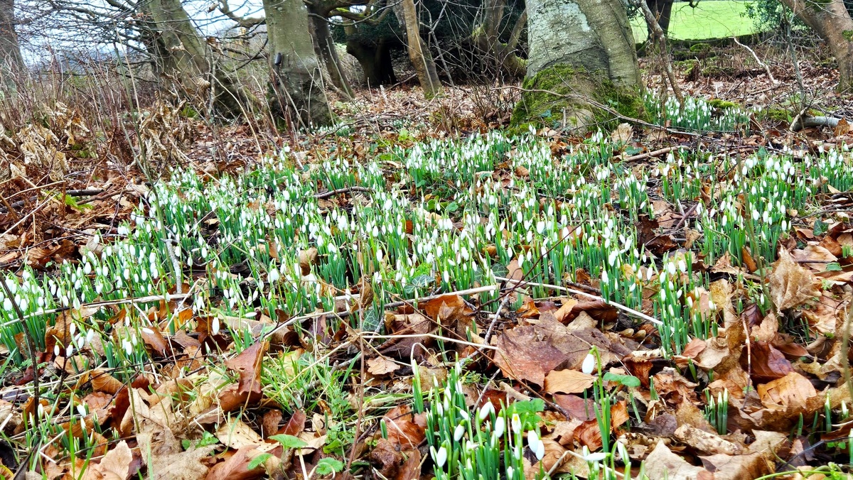 Фото из личного архива.