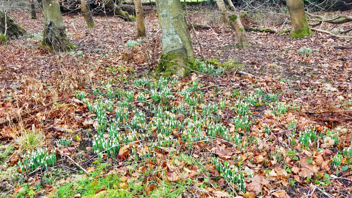 Фото из личного архива.