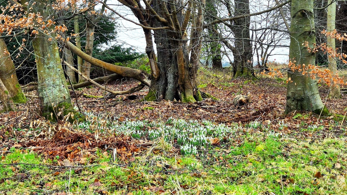 Фото из личного архива.