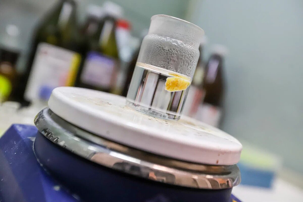 Образец кипятят, чтобы получить янтарную вытяжку (водный экстракт окаменелой смолы)