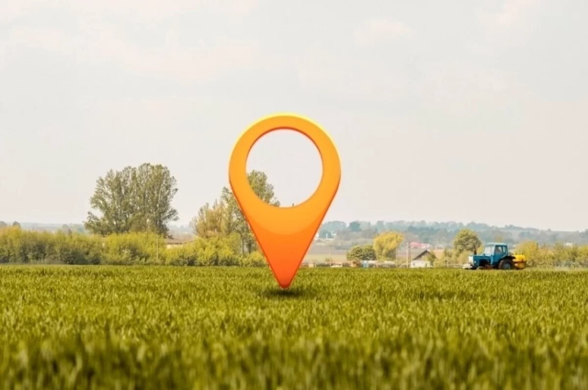    Тюменца наказали за запустение на пяти участках земли