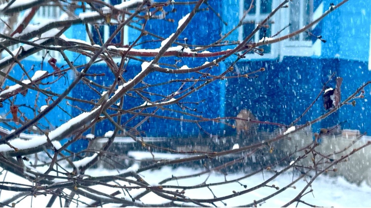 Вьюжит за окном