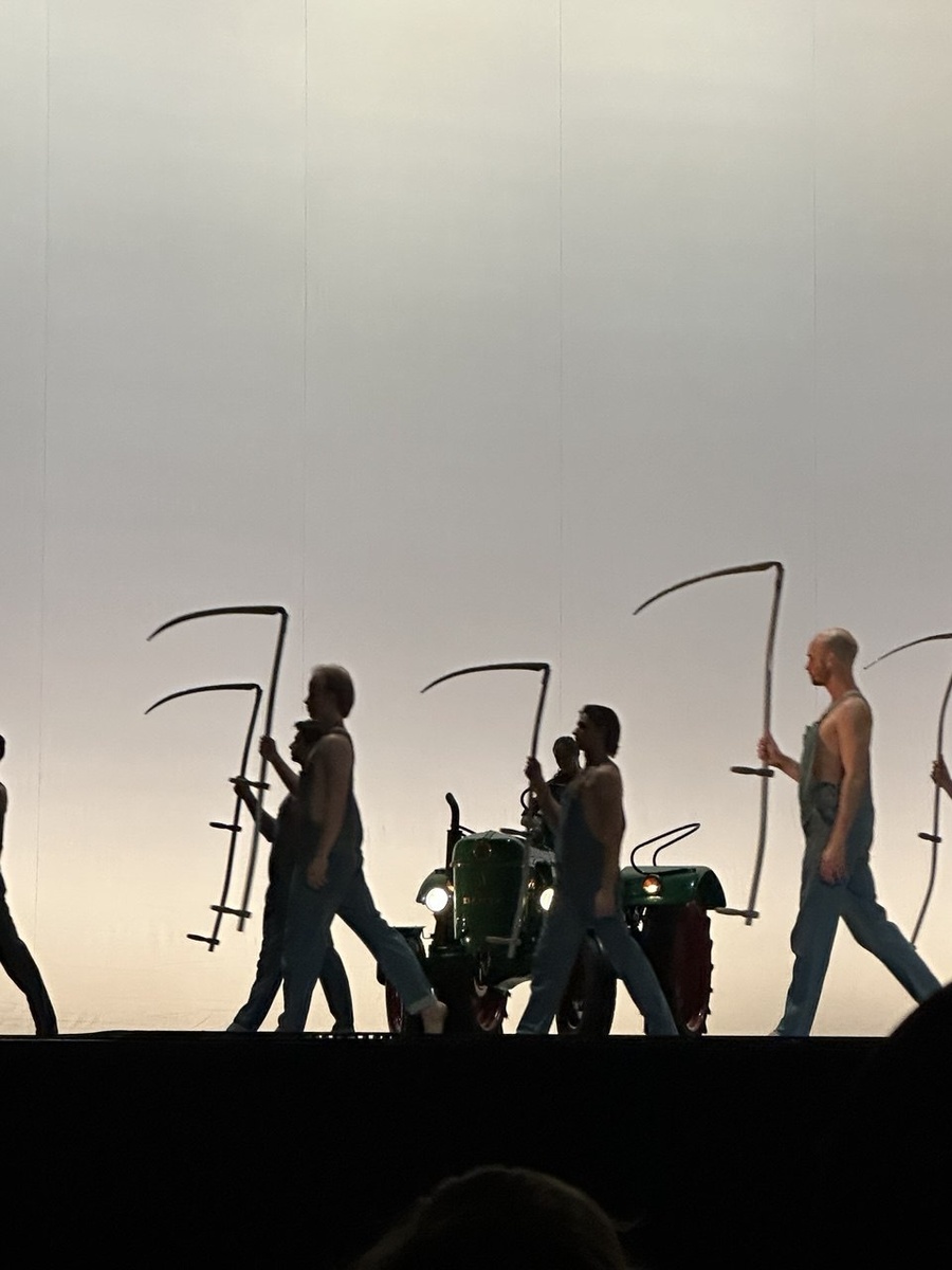 Косьба. Фото автора.