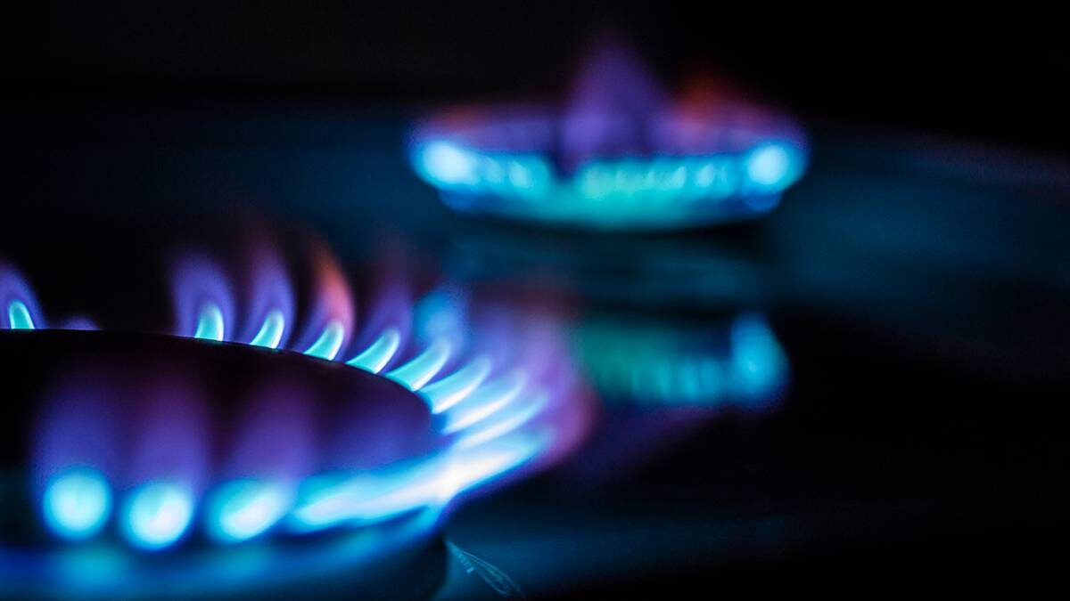    Фото: Shutterstock