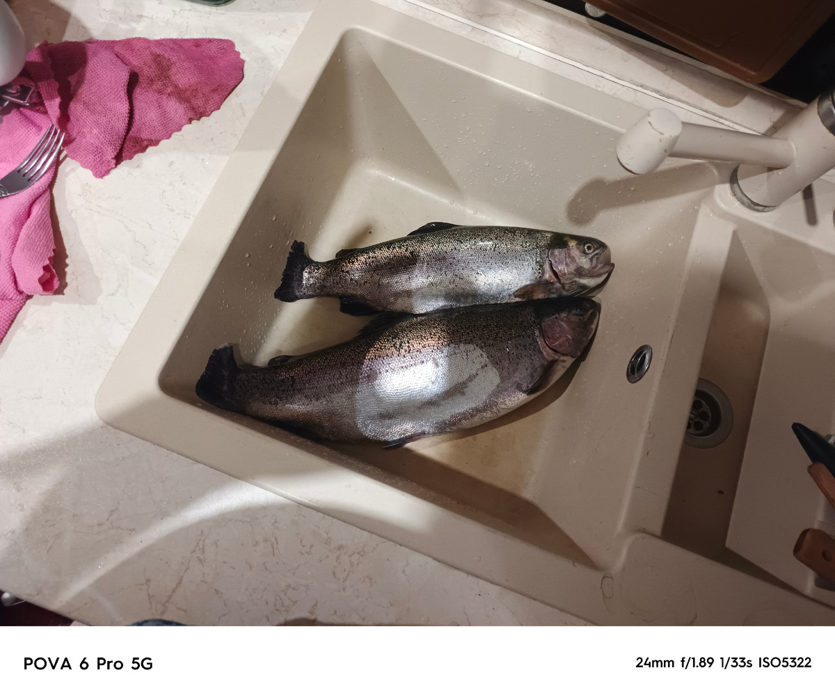 Фото второй рыбалке с женой