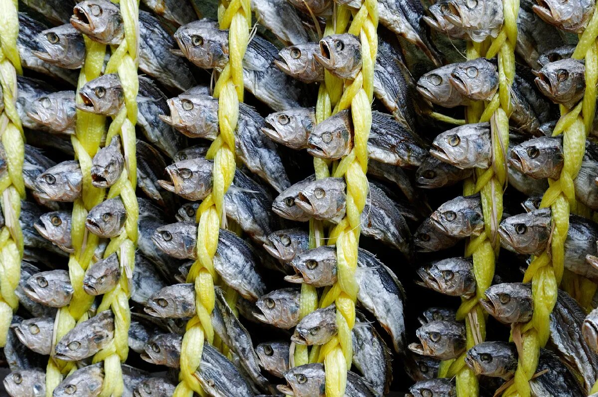    Фото: © Egmont Strigl/ imageBROKER.com/ Global Look Press