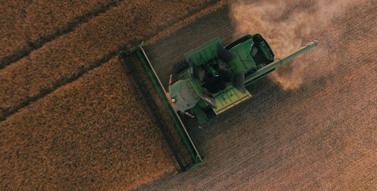 Фото: Scott Goodwill / Unsplash