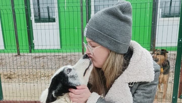    Алтай (Бруно) встретился с хозяйкой после долгой разлуки! Фото: сообщество «"Вита" приют для собак Ярославль» ВКонтакте