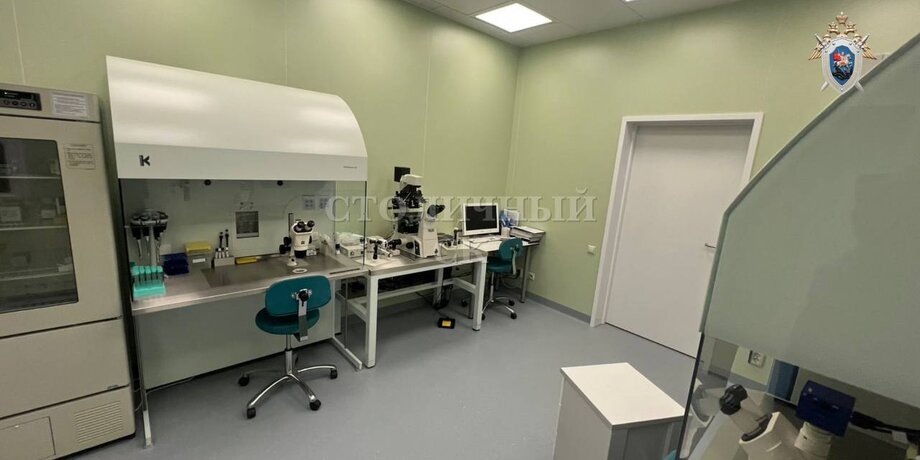 Фото: телеграм-канал "Столичный СК"