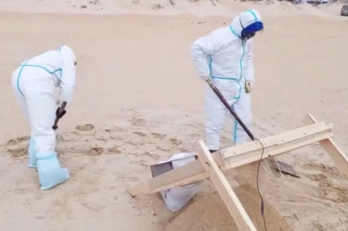    На пляжах Анапы создали вибросито для просеивания песка от мазута