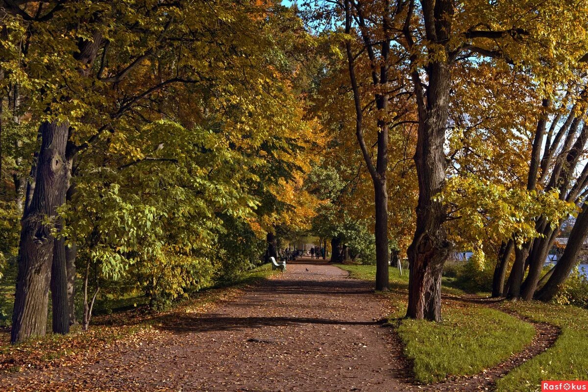 фото из интернета