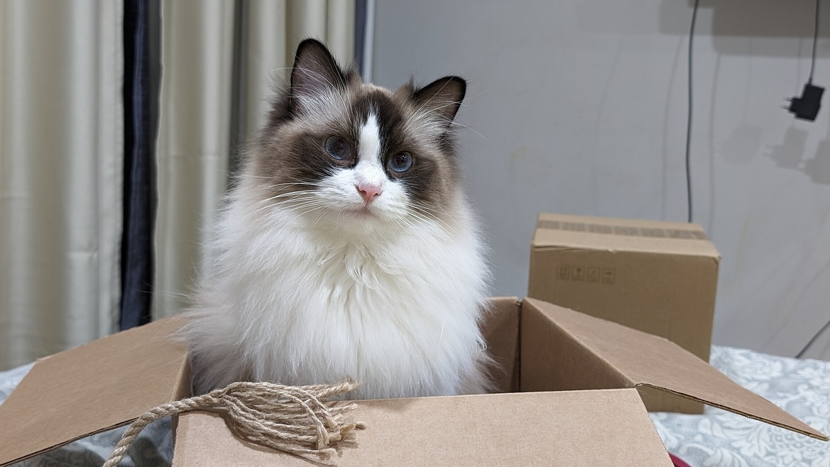 Мия. Личная коллекция фотографий.